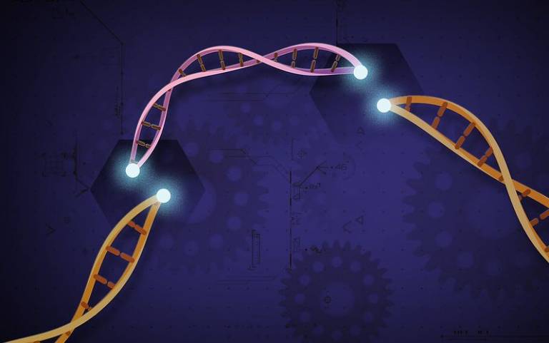 遺伝子編集療法は、遺伝性疾患の治療における革命への道を開く