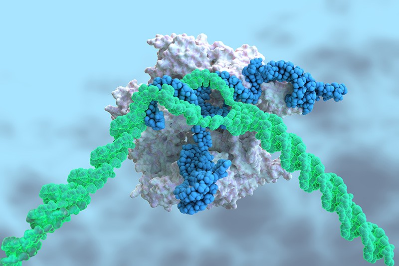 El histórico ensayo CRISPR se muestra prometedor contra enfermedades mortales
